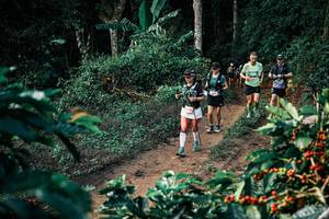 BIB: 
                            <button type="button" onclick="openModal(25824236)" class="btn btn-primary btn-sm float-right btn-popup" data-toggle="modal" data-target=".modal-high-quality">
                        <i class="fas fa-shopping-cart"></i> Add to Cart
                    </button>
                                            <button type="button" onclick="isThisMe(25824236, true)" class="btn btn-success btn-sm float-right btn-popup btn-isme hidden" data-toggle="tooltip" data-placement="bottom" title="นี่คือรูปของคุณใช่ไหม คลิกที่นี่เพื่อเอาเข้าอัลบั้ม">
                        <i class="fas fa-plus"></i> Add to album
                    </button>
                    <button type="button" onclick="isThisMe(25824236, false)" class="btn btn-warning btn-sm float-right btn-popup btn-isnotme hidden">
                        <i class="fas fa-ban"></i> Remove from album
                    </button>